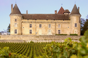 Chateau Elan 55+